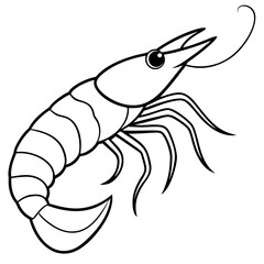 Single Line Shrimp Vector Illustration