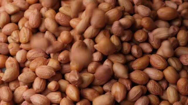 Raw whole dried peanut kernels pour, close-up, slow motion