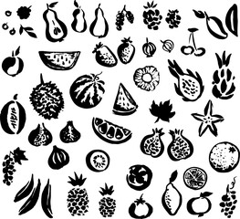 Fruits collection. Hand drawn vector. Isolated design elements.