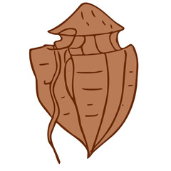 dinoflagellates isolated on white background microorganism microbiology science illustration