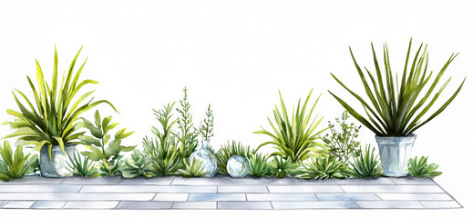 Watercolor garden plant potted green leaf outdoor tile peaceful illustration nature decorative lush arrangement landscape