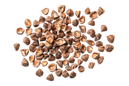 A pile of raw buckwheat seeds on a white background, showcasing their natural brown color and triangular shape for culinary use. on transparent background