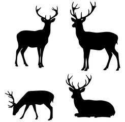 Vector illustration of four deer silhouettes in different poses—standing, grazing, and resting—each with detailed antlers. This black silhouette set evokes themes of wildlife, forest, and rustic natur