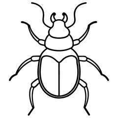 Simple Dung Beetle Line Art Illustration