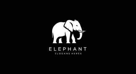 Elegant White Elephant Silhouette Against Black