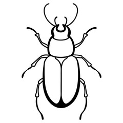 Simple Dung Beetle Line Art Illustration