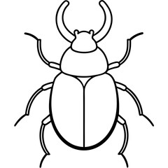 Simple Dung Beetle Line Art Illustration