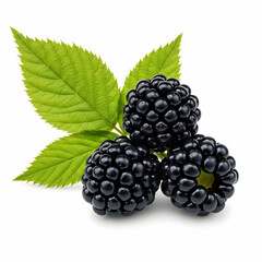 Juicy Blackberries: Fresh Berries Image