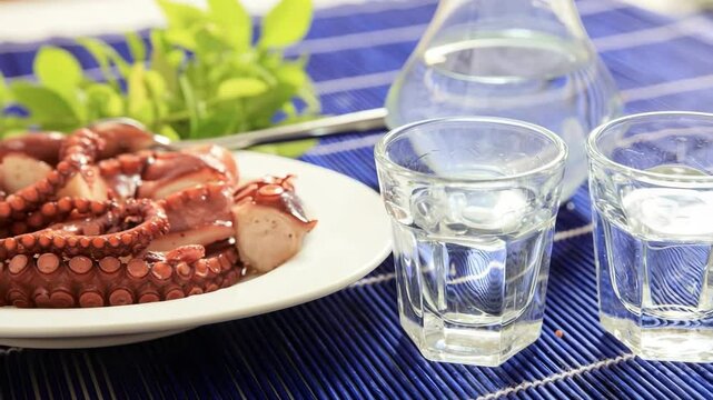 Turkish raki, greek ouzo or tsipouro, aperitif drink and starters closeup view 