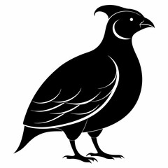 Sleek Quail Silhouette Vector