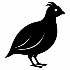 Sleek Quail Silhouette Vector