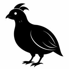 Sleek Quail Silhouette Vector