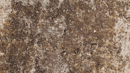 Old grunge mossy concrete wall, stone textured surface