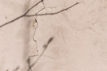 Shadows of tree branches on light beige plastered cracked concrete wall on spring day