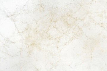 Creamy white marble with subtle gold veins Detailed, intricate veining patterns