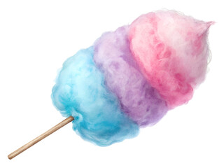 Delicious Tri-Color Cotton Candy on a Stick Sweet Treat Fair Food Carnival Candy Floss