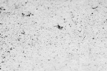 Abstract images of natural textures and everyday objects. Detailed surfaces, organic colors and real imperfections create unique and versatile backgrounds ideal for graphic design, and creative projec