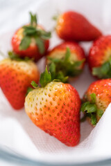 Washed and Dried Strawberries Neatly Stored in a Glass Bowl