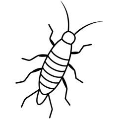 Fototapeta premium Stylized Earwig Line Design