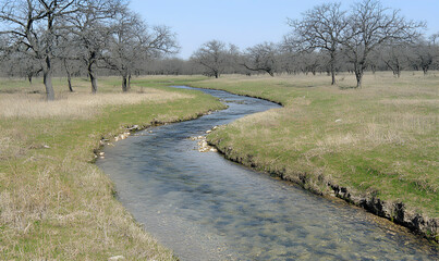 Serene creek meandering through a field of dormant trees under a clear sky.  Peaceful nature scene perfect for backgrounds or nature documentaries.