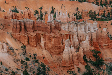 Bryce Canyon, Utah, hoodoos, tree, sandstone, canyon, rock formations, national park, nature,...