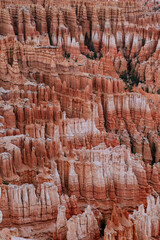 Bryce Canyon Landscape View with Eroded Rock Formations