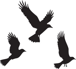 Birds flying set silhouette vector on white background