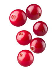 Cranberries Floating on White Background