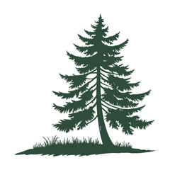 Fototapeta premium A simple, symmetrical of a tall evergreen pine tree with layered branches, dark green color, isolated on a clean and minimalistic flat vector style