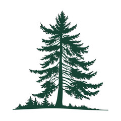 Fototapeta premium A simple, symmetrical of a tall evergreen pine tree with layered branches, dark green color, isolated on a clean and minimalistic flat vector style