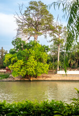 Wat Puttaisawan from the opposite side of Chaophraya river in Ayudhaya UNESCO World Heritage place under blue sky in summer