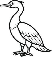 cormorant bird outline vector illustrationon white background