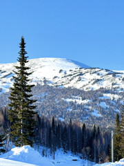 Serene winter landscape with snow-covered mountain and pine tree