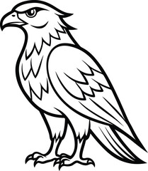 hawk bird outline vector illustration on white-background