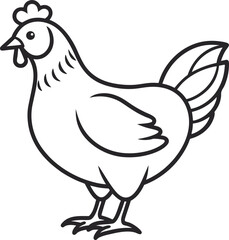 chicken outline vector illustration on white background