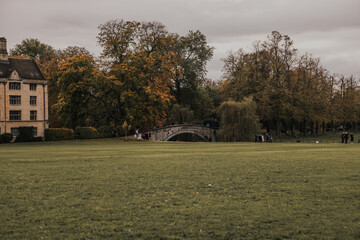 bridge inside the park