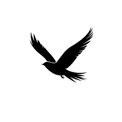 Obraz premium Flying bird silhouette vector illustration icon