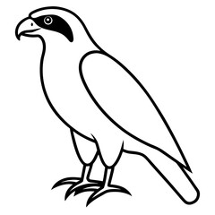 Sleek Hawk Outline Vector Illustration