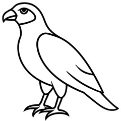 Sleek Hawk Outline Vector Illustration