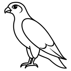 Sleek Hawk Outline Vector Illustration