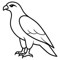 Sleek Hawk Outline Vector Illustration