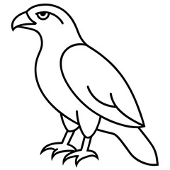 Sleek Hawk Outline Vector Illustration