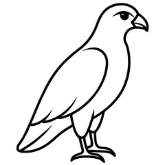 Sleek Hawk Outline Vector Illustration