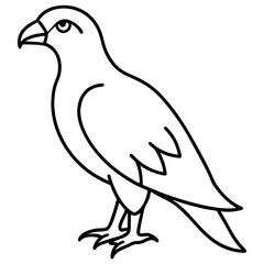 Sleek Hawk Outline Vector Illustration