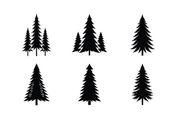 Obraz premium set of trees