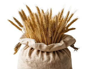 A Nostalgic Harvest, A Vintage Sack Overflowing with Golden Wheat, Symbolizing Abundance and the Timeless Beauty of Agriculture on an Isolated Setting
