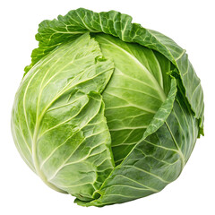 Fresh Green Cabbage isolated on transparent background