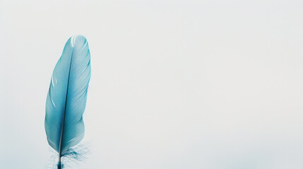 Blue feather isolated on soft white background, creating serene and calming atmosphere