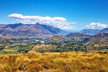 Queenstown Valley, Otago, South Island, New Zealand, Oceania.