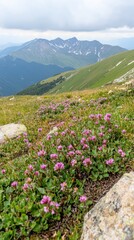 Lush alpine meadow with wildflowers
